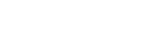 Acies International
